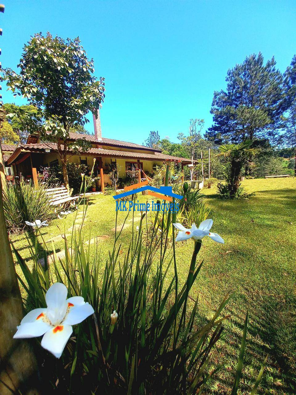 Sítio à venda com 2 quartos, 340m² - Foto 50