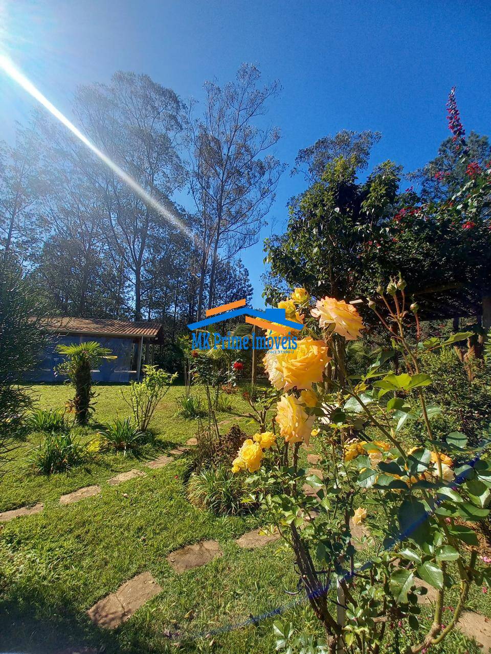Sítio à venda com 2 quartos, 340m² - Foto 51