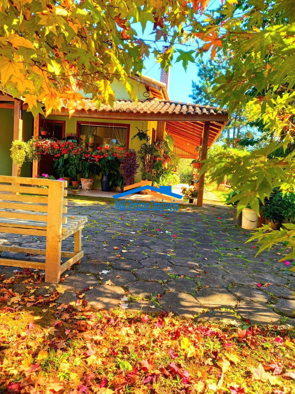 Sítio à venda com 2 quartos, 340m² - Foto 54