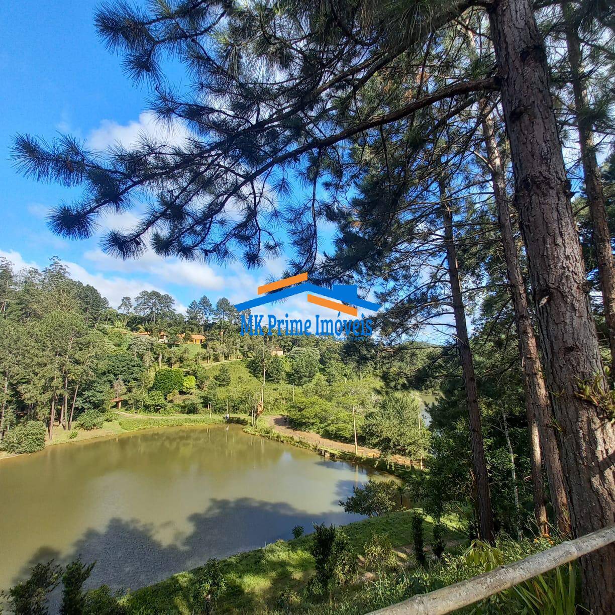 Sítio à venda com 2 quartos, 340m² - Foto 63
