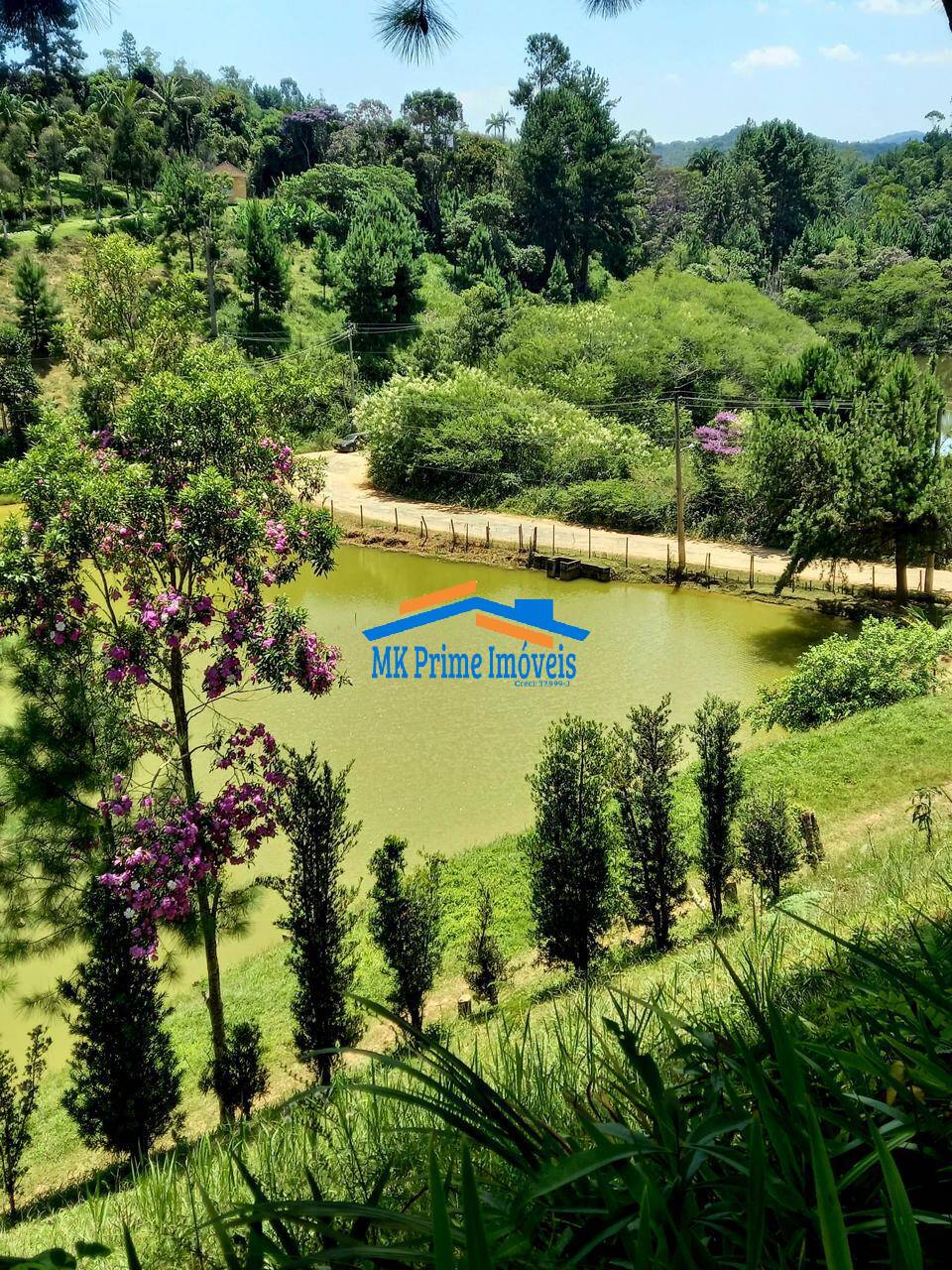 Sítio à venda com 2 quartos, 340m² - Foto 65