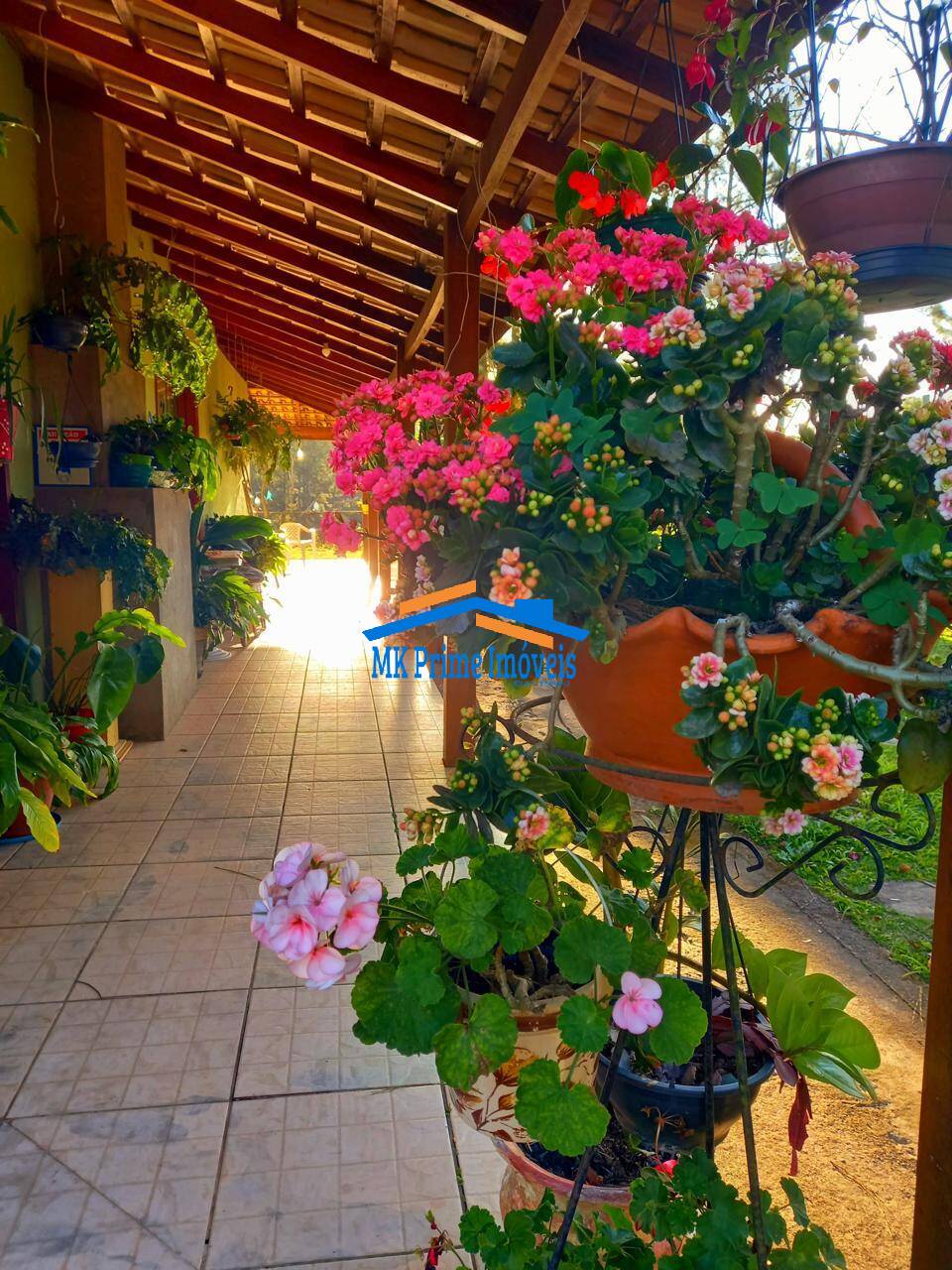 Sítio à venda com 2 quartos, 340m² - Foto 66