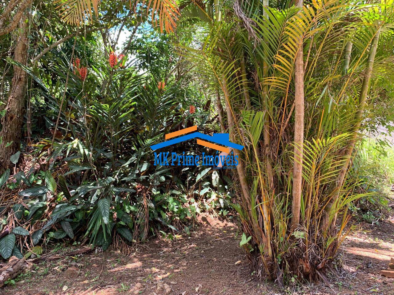 Casa à venda com 6 quartos, 1316m² - Foto 6