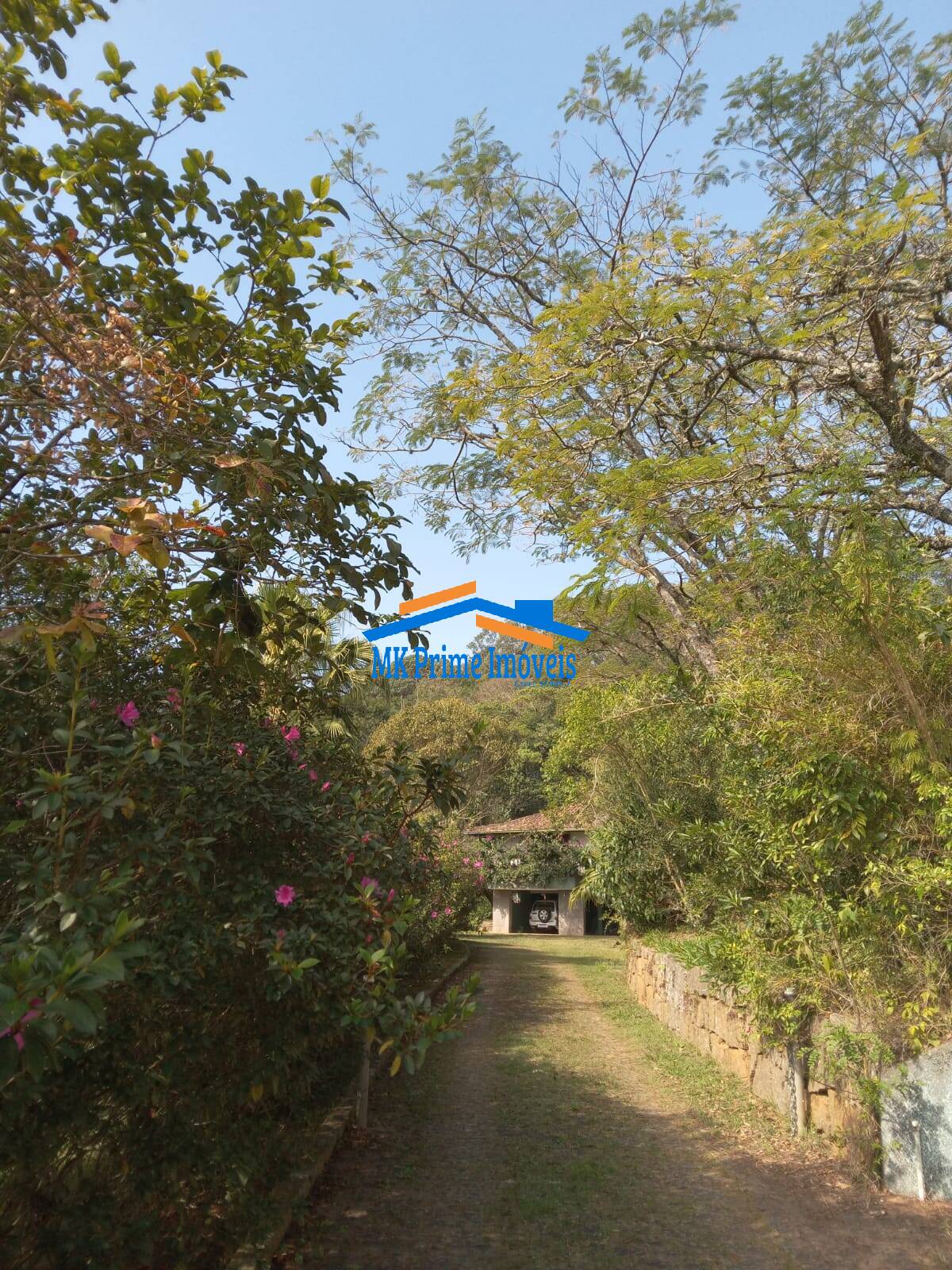 Sítio, 2 quartos, 10 hectares - Foto 18