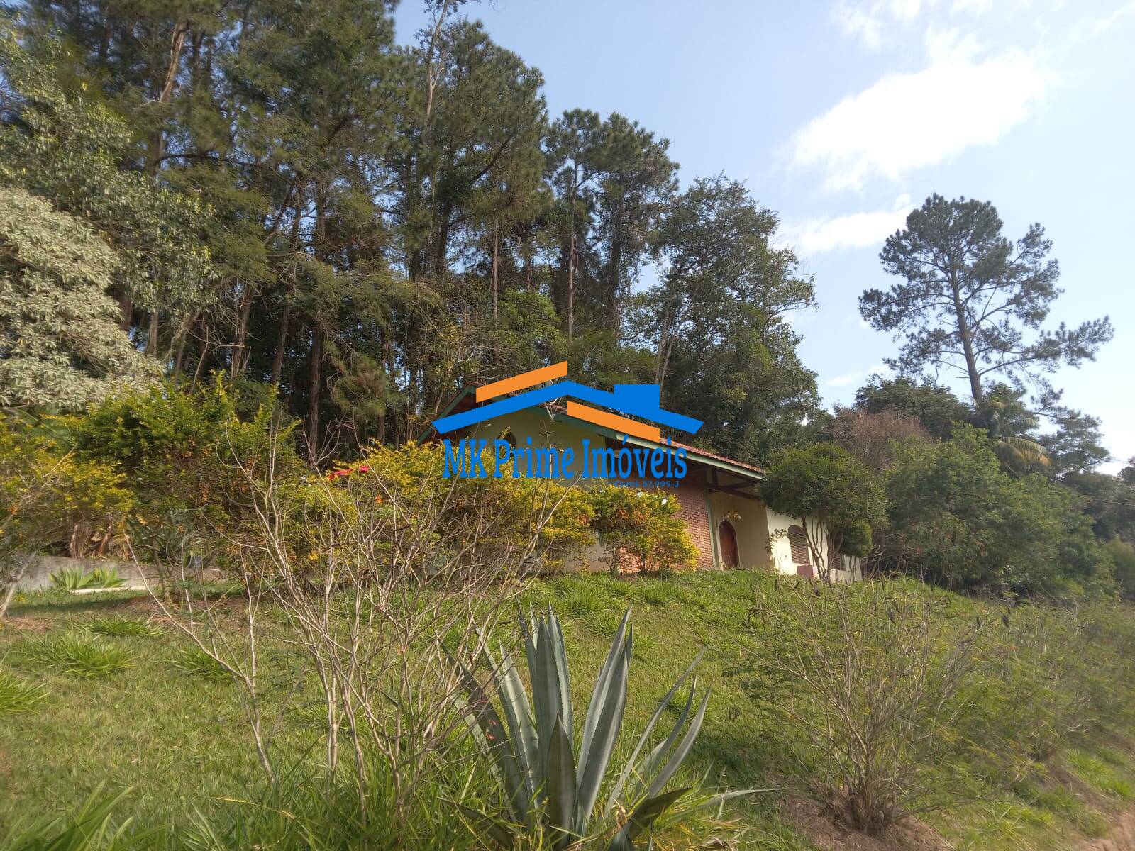 Sítio, 2 quartos, 10 hectares - Foto 16