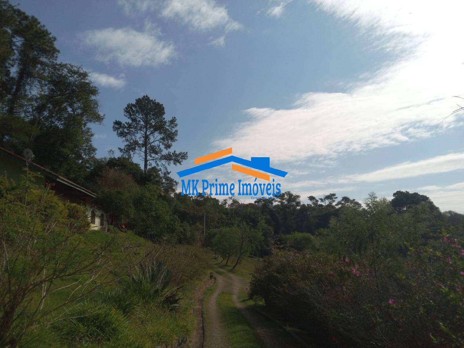 Sítio, 2 quartos, 10 hectares - Foto 17