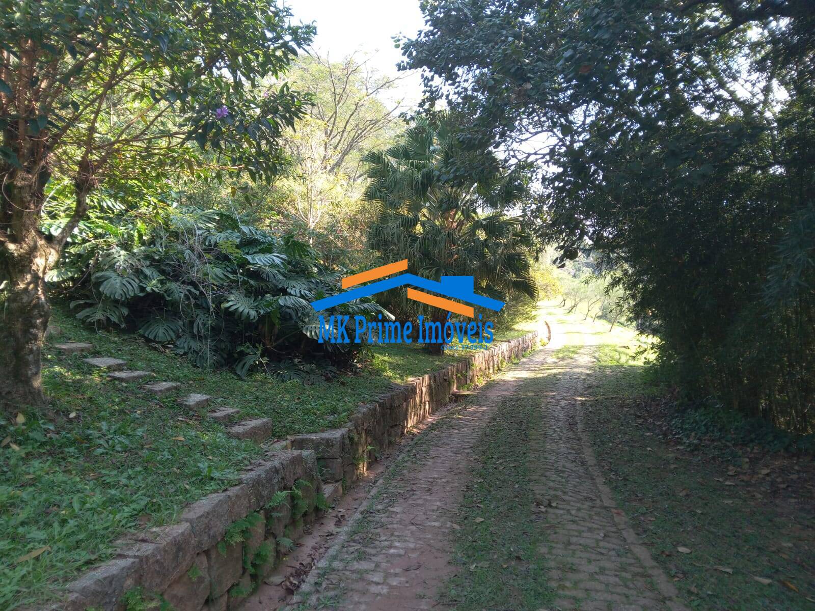 Sítio, 2 quartos, 10 hectares - Foto 30