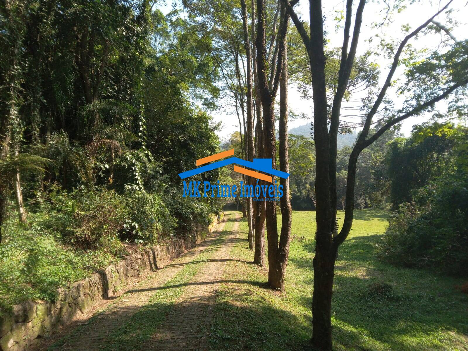 Sítio, 2 quartos, 10 hectares - Foto 32