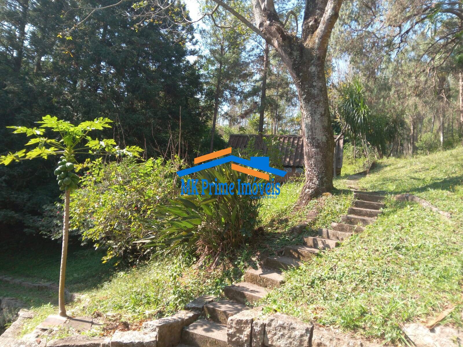 Sítio, 2 quartos, 10 hectares - Foto 38