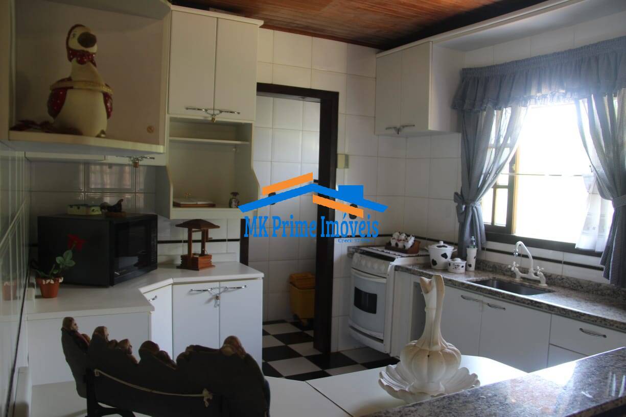 Chácara à venda com 4 quartos, 11000m² - Foto 4