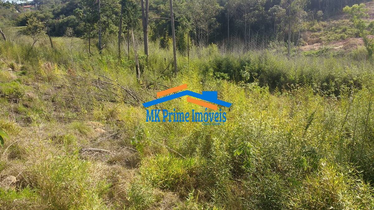 Terreno à venda, 6692m² - Foto 1