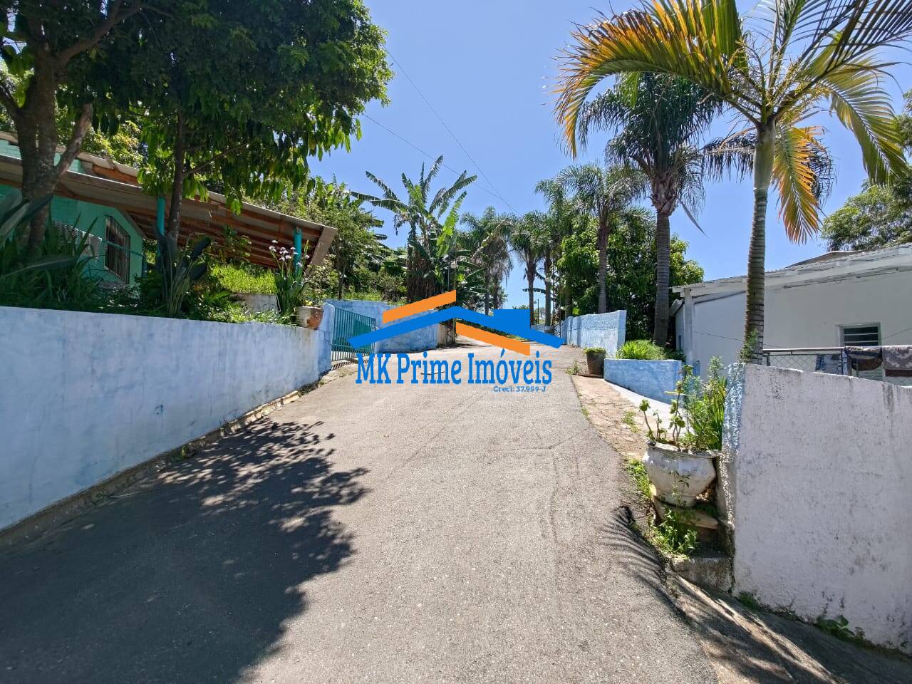 Chácara, 4 quartos, 5800 m² - Foto 4