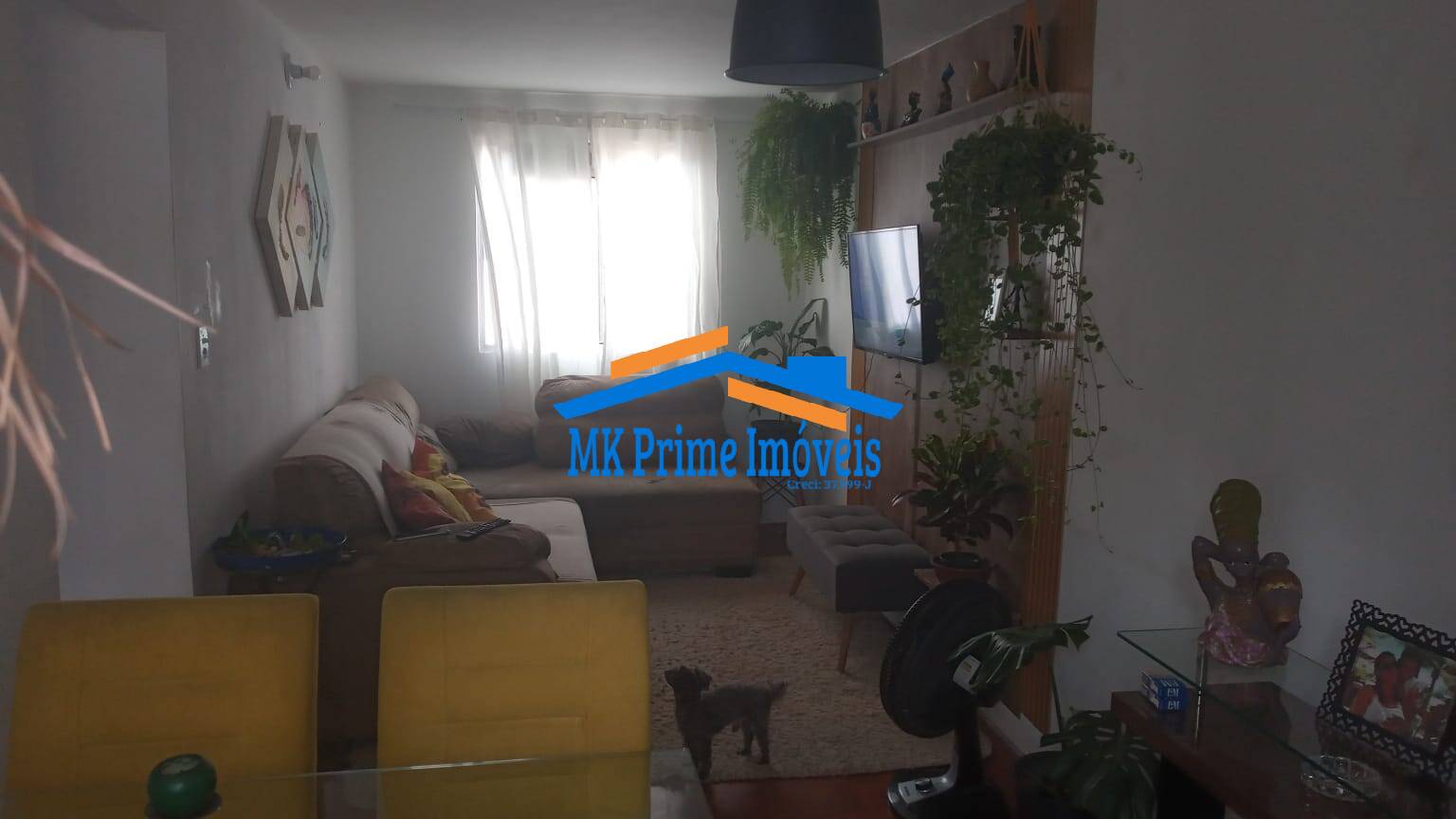 Apartamento à venda com 2 quartos, 46m² - Foto 1