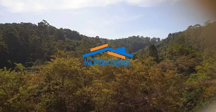 Apartamento, 2 quartos, 63 m² - Foto 22