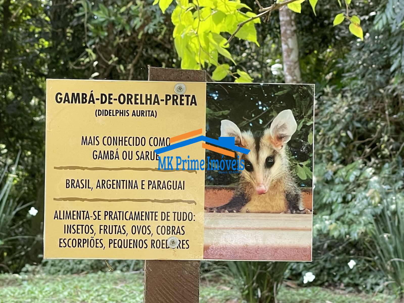 Casa de Condomínio, 2 quartos - Foto 64