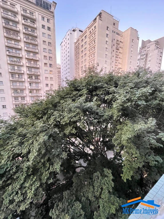 Apartamento, 4 quartos, 191 m² - Foto 33