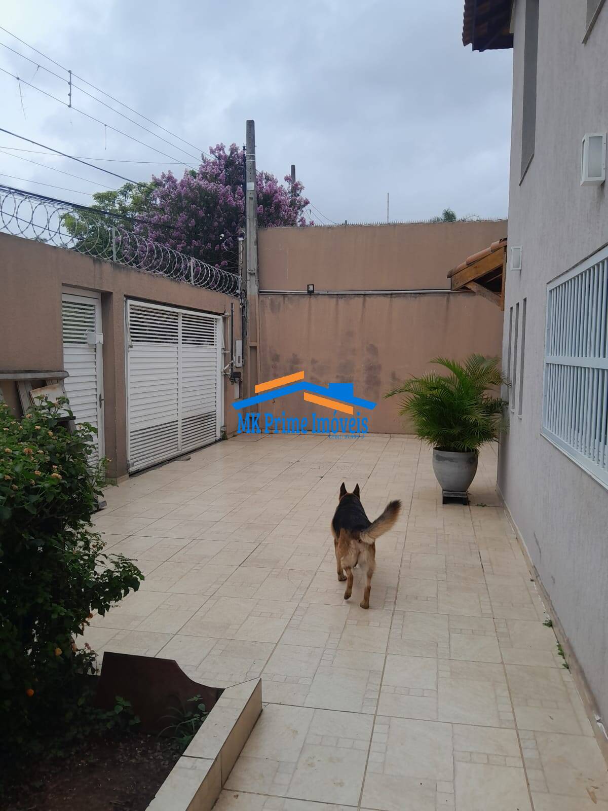 Sobrado, 5 quartos, 245 m² - Foto 32