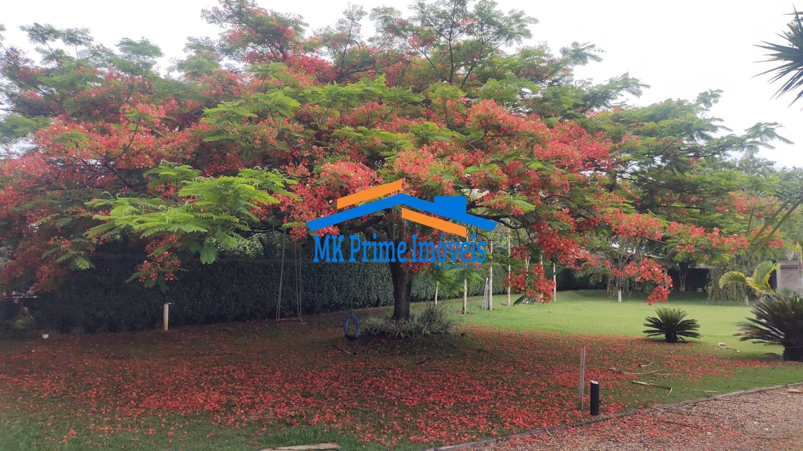 Sítio, 6 quartos, 8 hectares - Foto 45