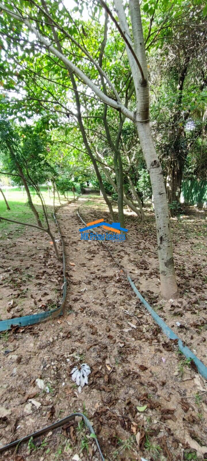 Apartamento, 2 quartos, 45 m² - Foto 53