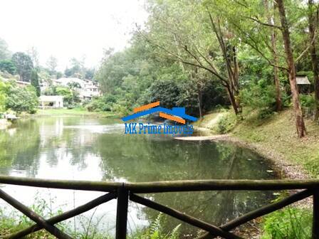 Casa de Condomínio, 4 quartos - Foto 67