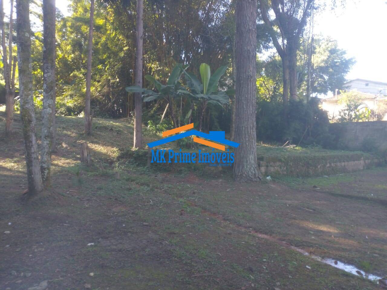 Terreno, 4000 m² - Foto 17