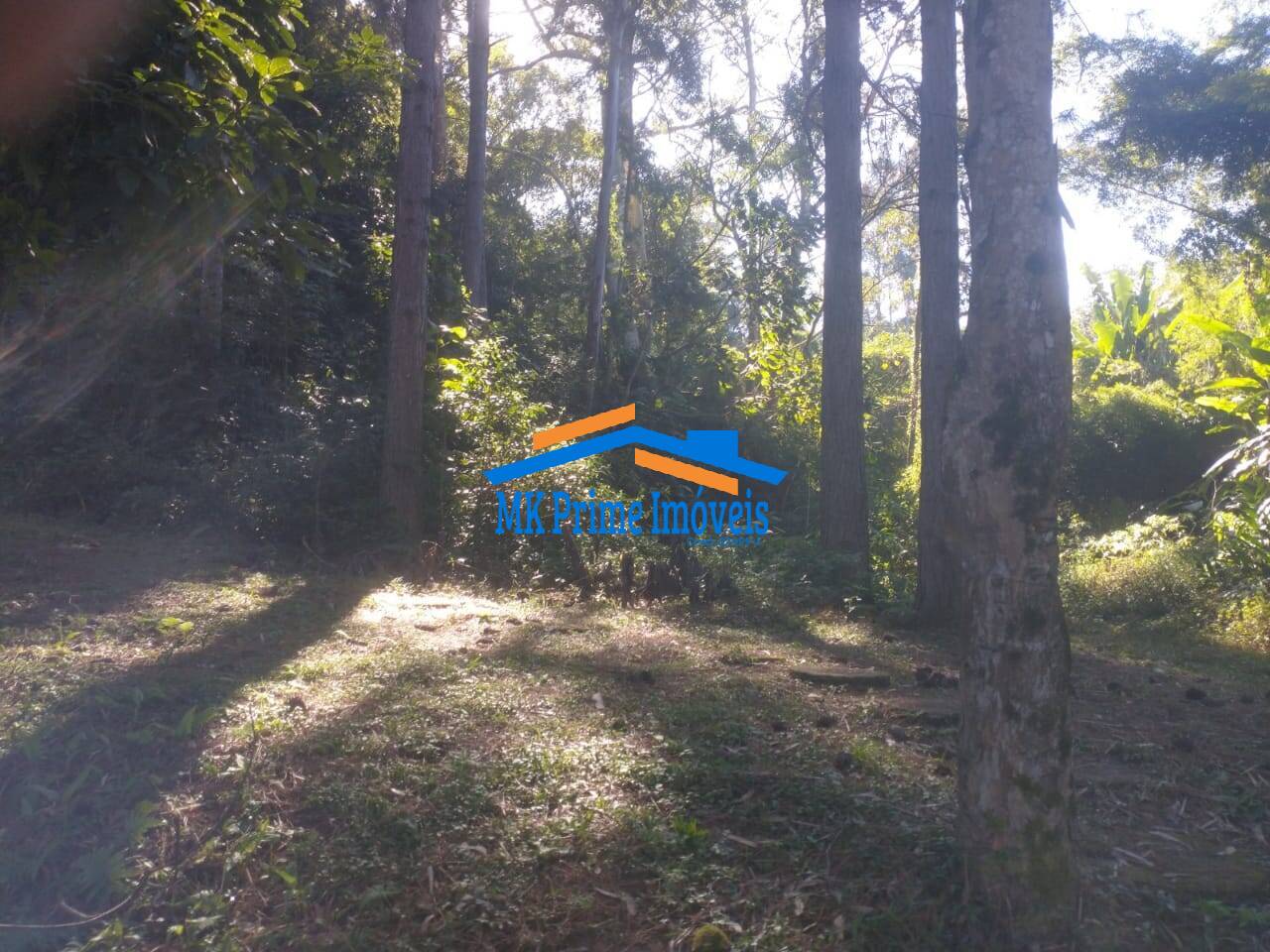 Terreno, 4000 m² - Foto 16