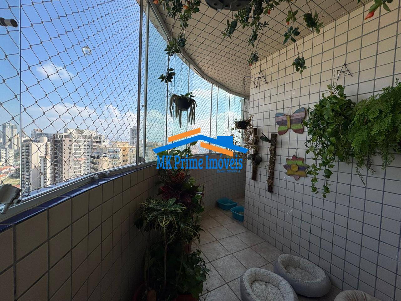 Foto 11
