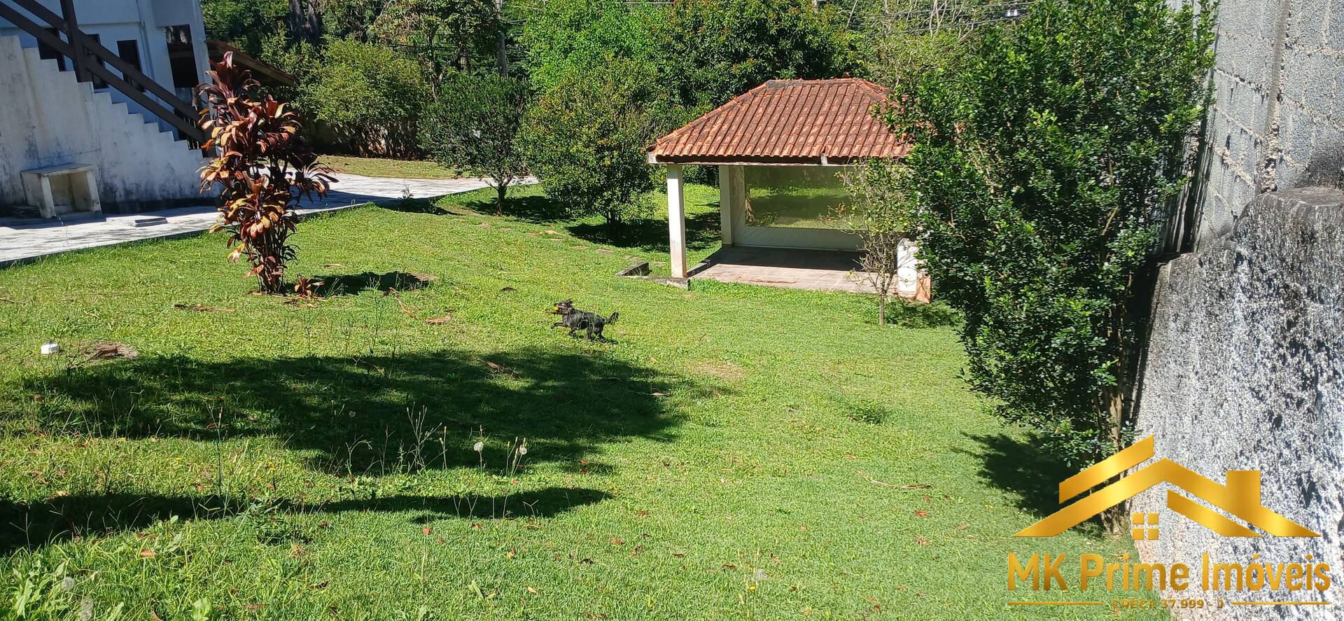 Foto 11