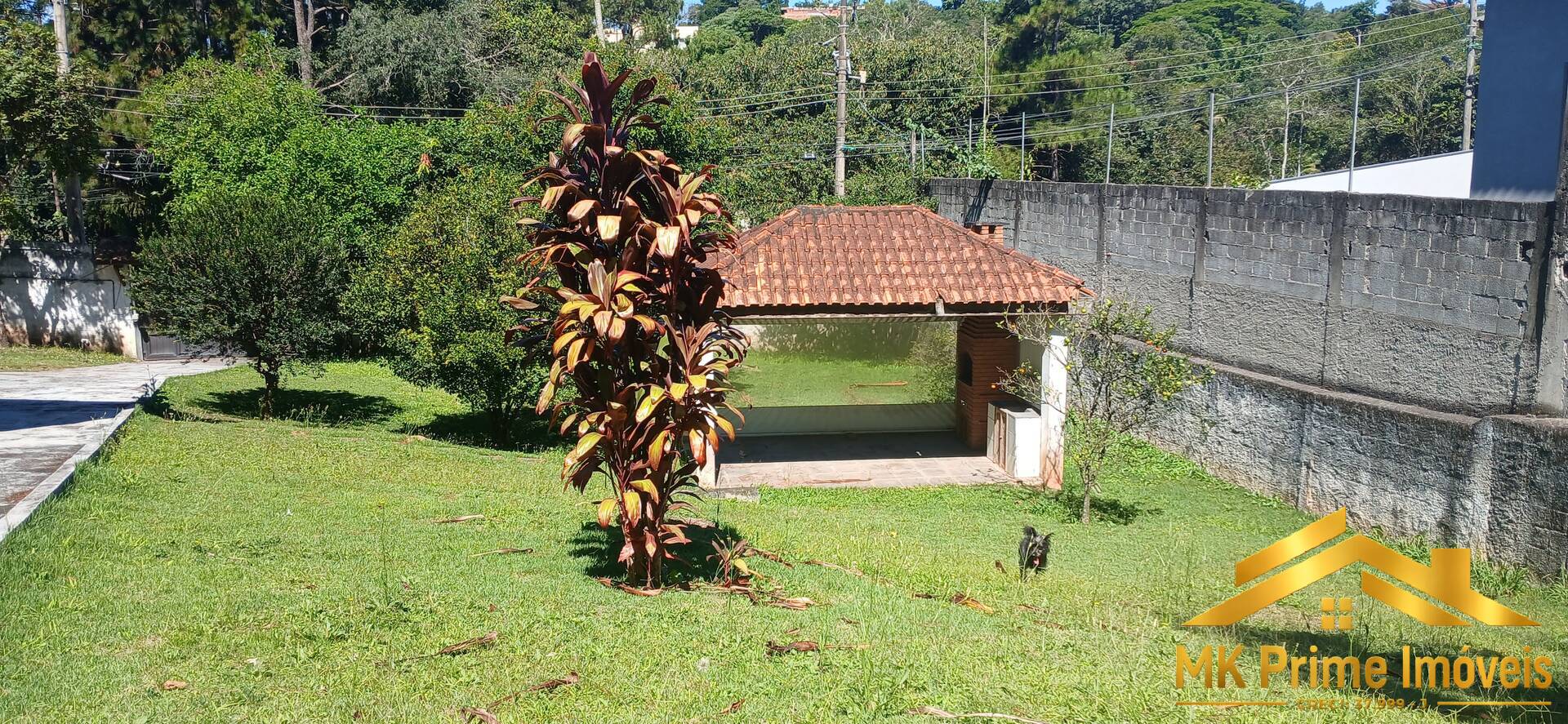 Foto 13